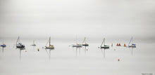 Load image into Gallery viewer, The Elusive Summer- 24 x 48”
