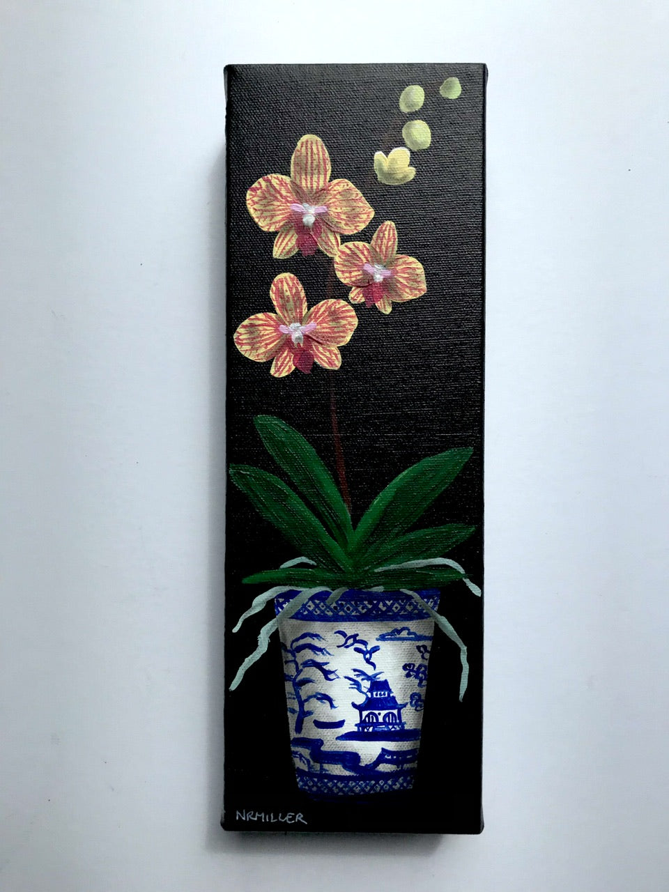 Studio Orchid #2